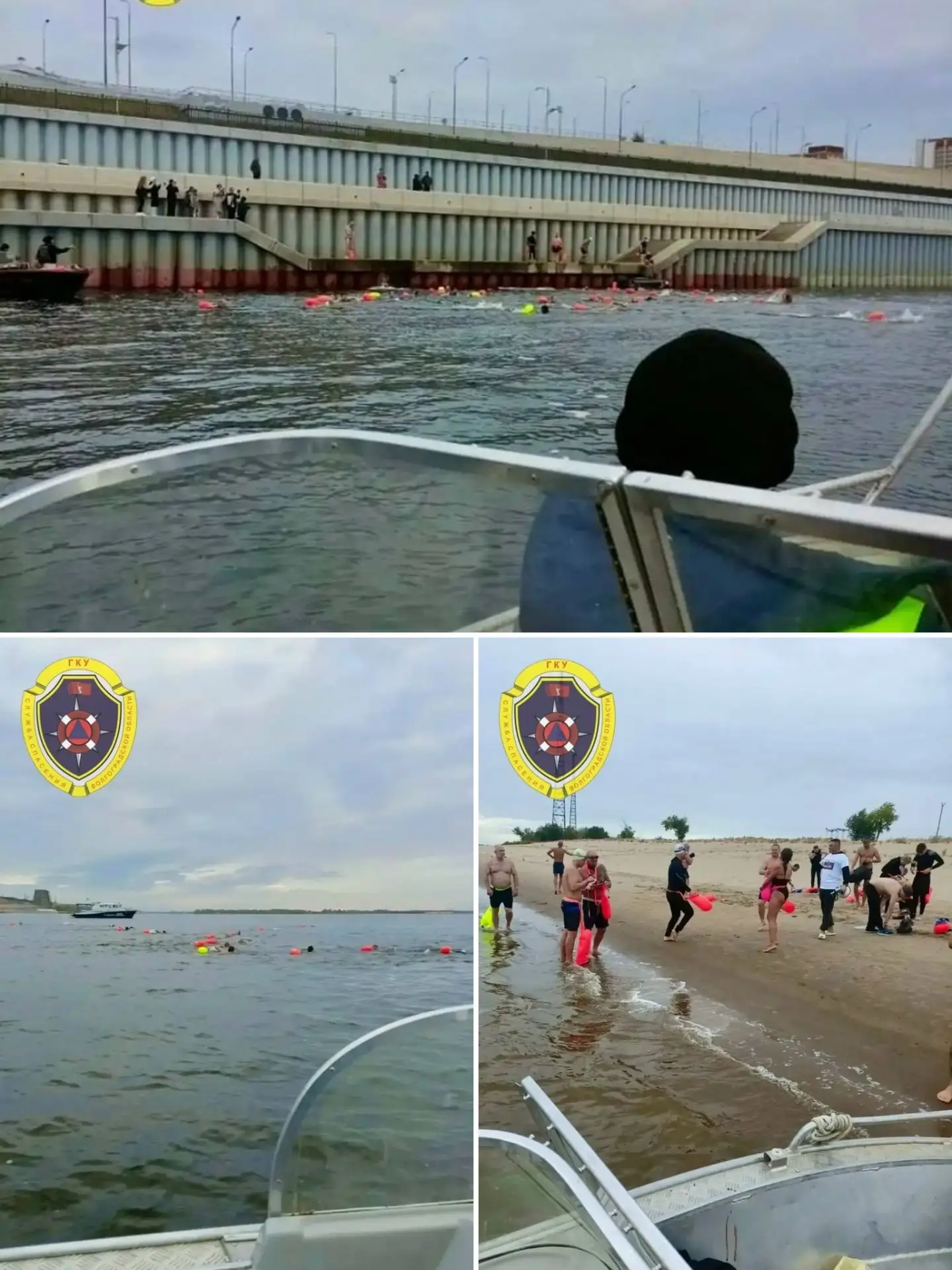 Моржи устроили массовый заплыв через Волгу 🏊‍♂️❄️