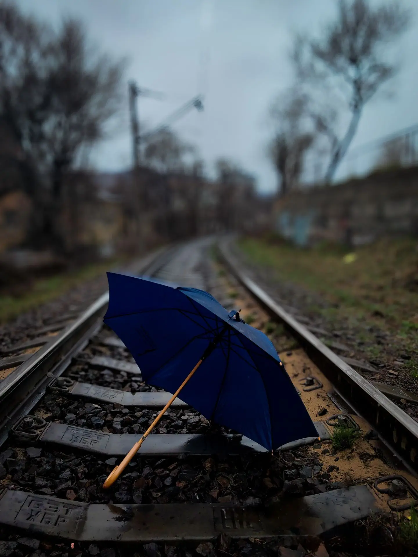 Фото старое,но красивое,да и по погоде во Владивостоке...
