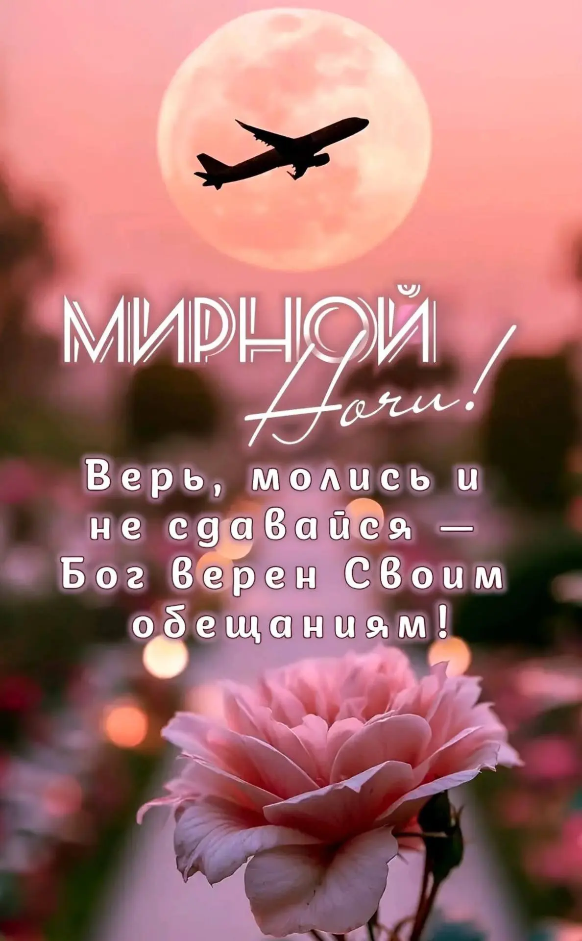 Изображение 1 к публикации «Открыточки»