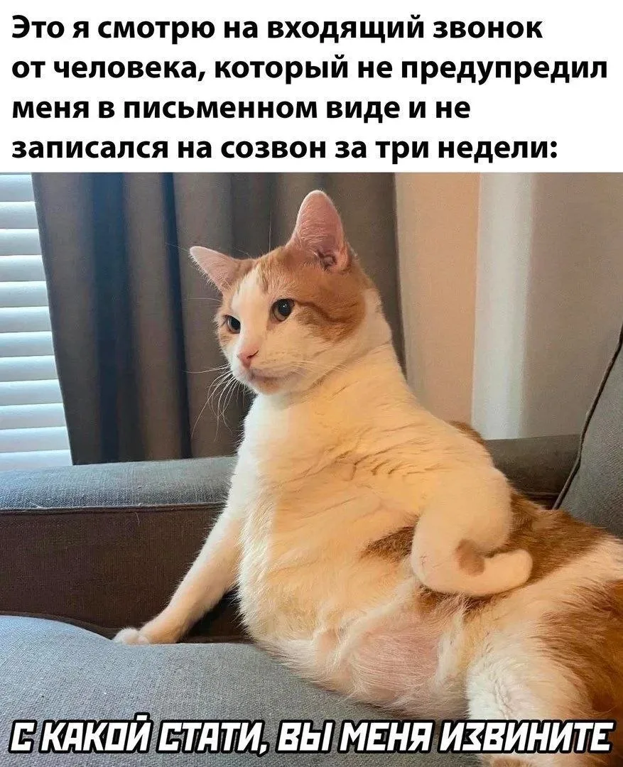 Я только приехала и весь день  на встречах, зумы и телемосты....а как у вас?