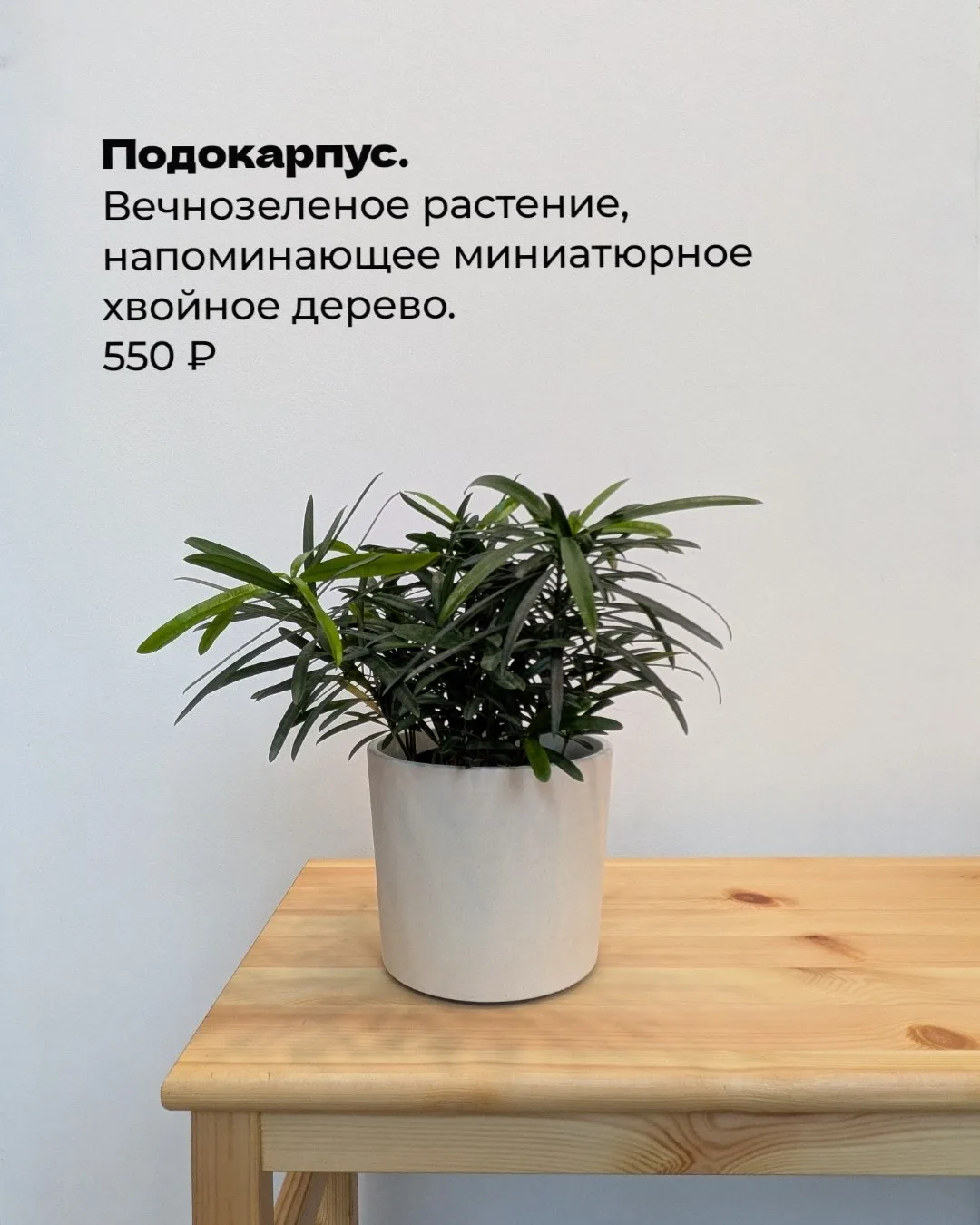 Привет!