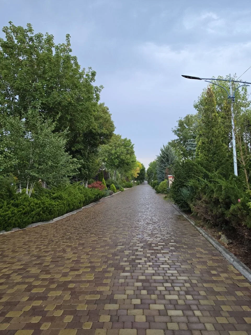 Утро началось с дождичка