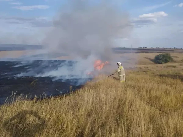 🔥🔥🔥В Ростовской области на большой площади горела трава