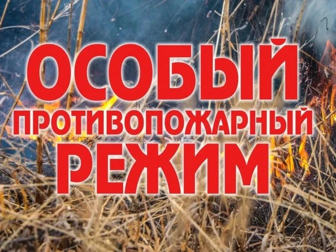 В Алтайском крае с сегодняшнего дня, 25 апреля, введен особый противопожарный режим