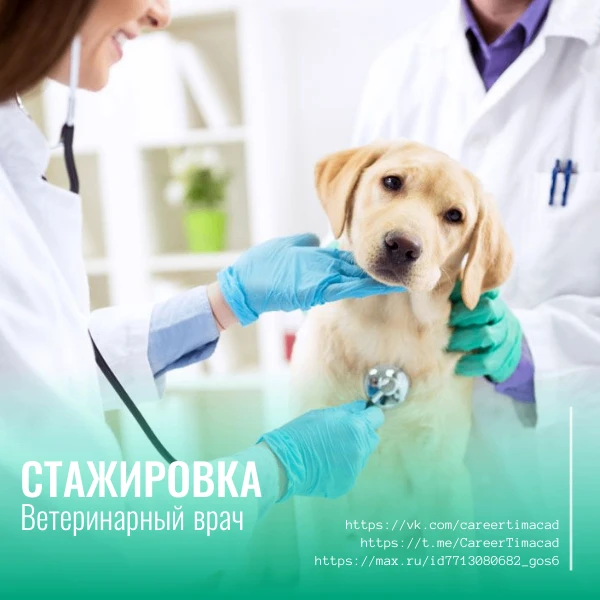 🐾Оплачиваемая стажировка для студентов-ветеринаров в г. Московский