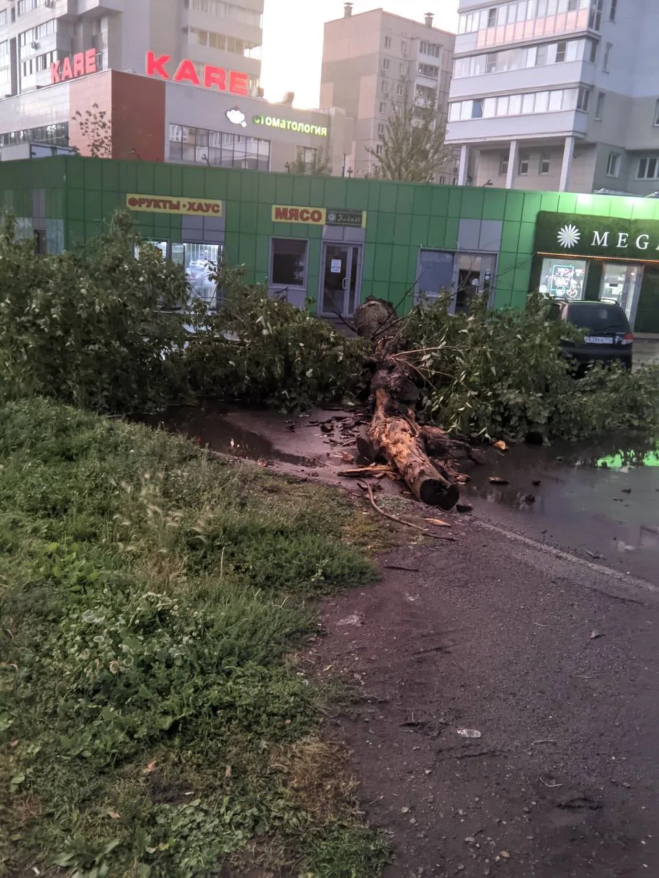 На Чайковского после сильного ветра вырвало дерево 

Челябинск с огоньком | Подписаться