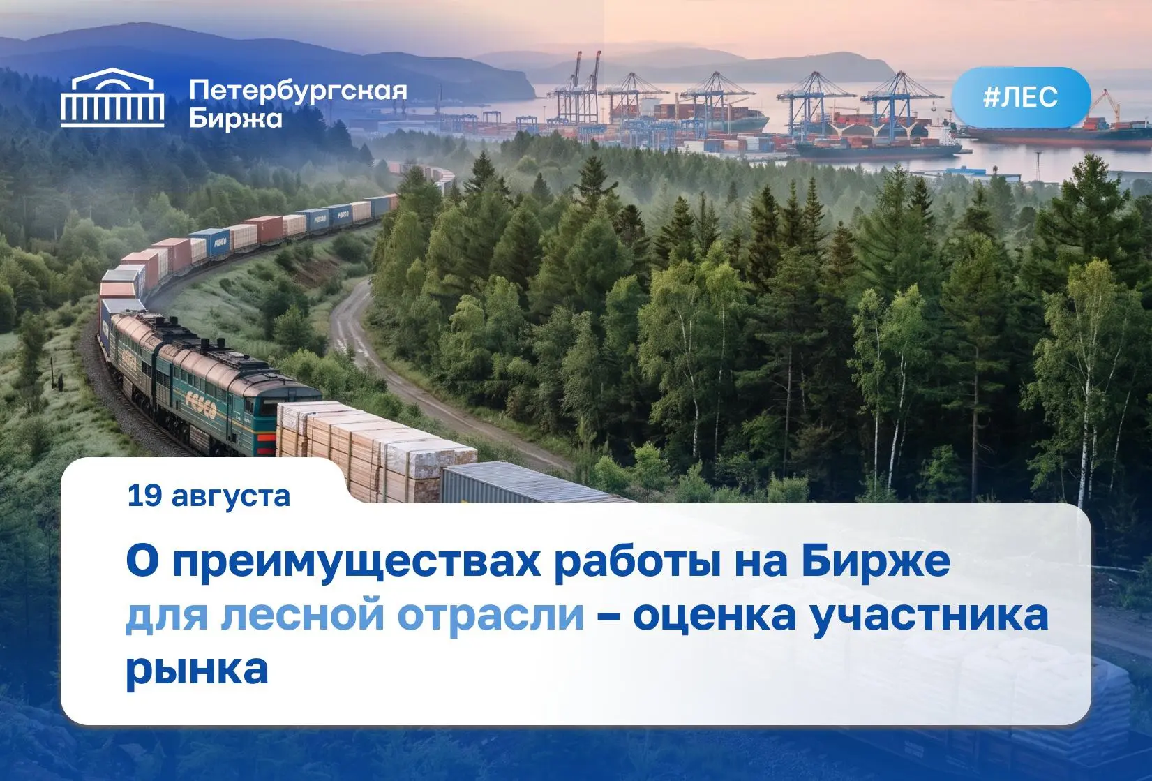 🏛️ Российская международная торговля лесом и пиломатериалами сегодня работает в том чи...