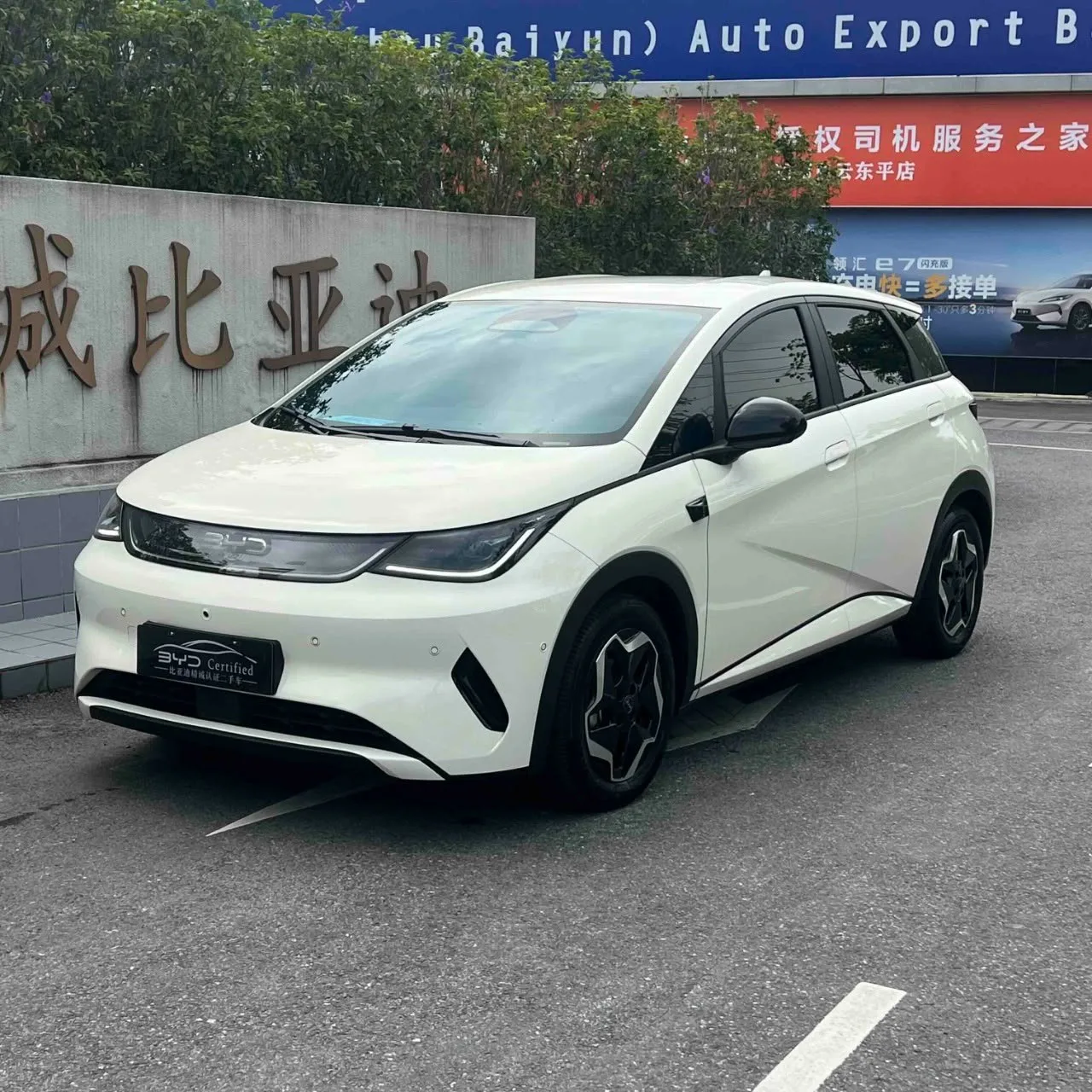 BYD Dolphin