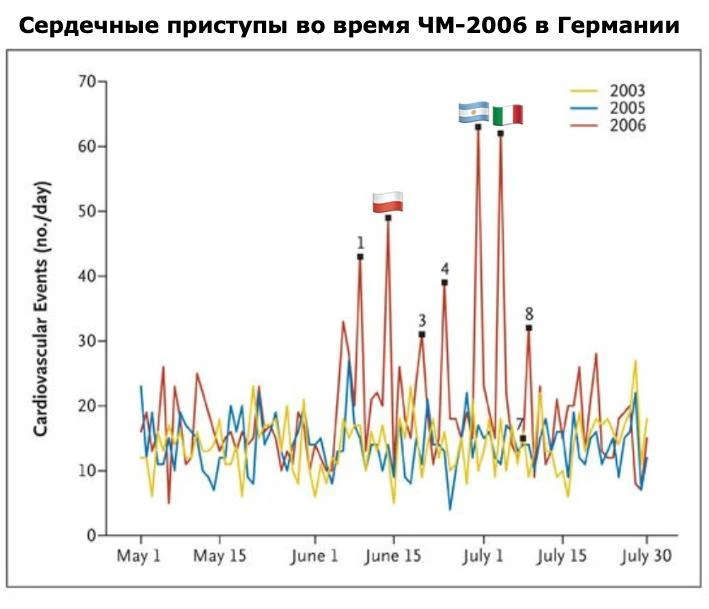 ЧМ убивает

В 2006 году немецкие учёные провели исследование, которое FIFA точно не заказывала.

Они
