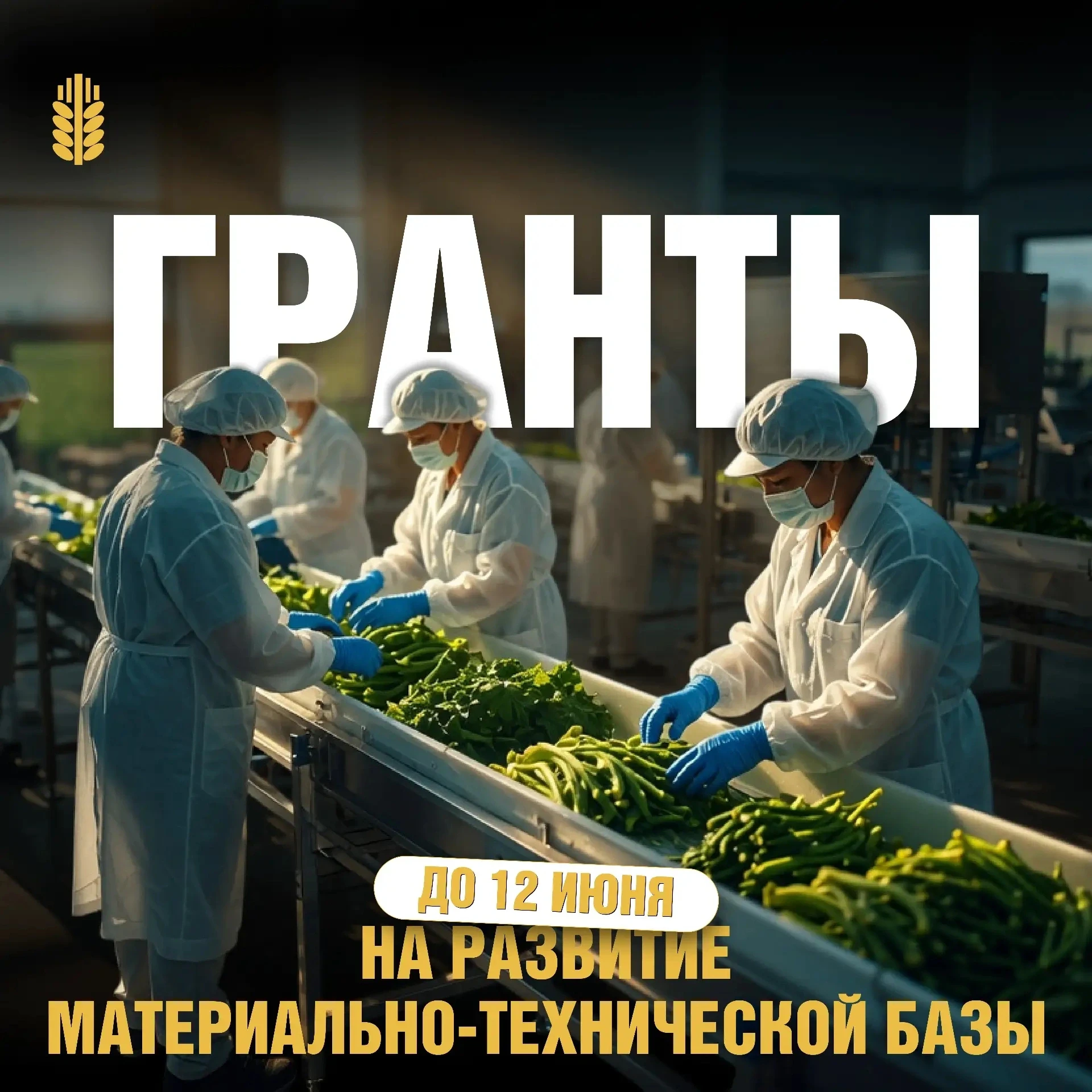 Сельхозкооперативам Татарстана открыли новые возможности!