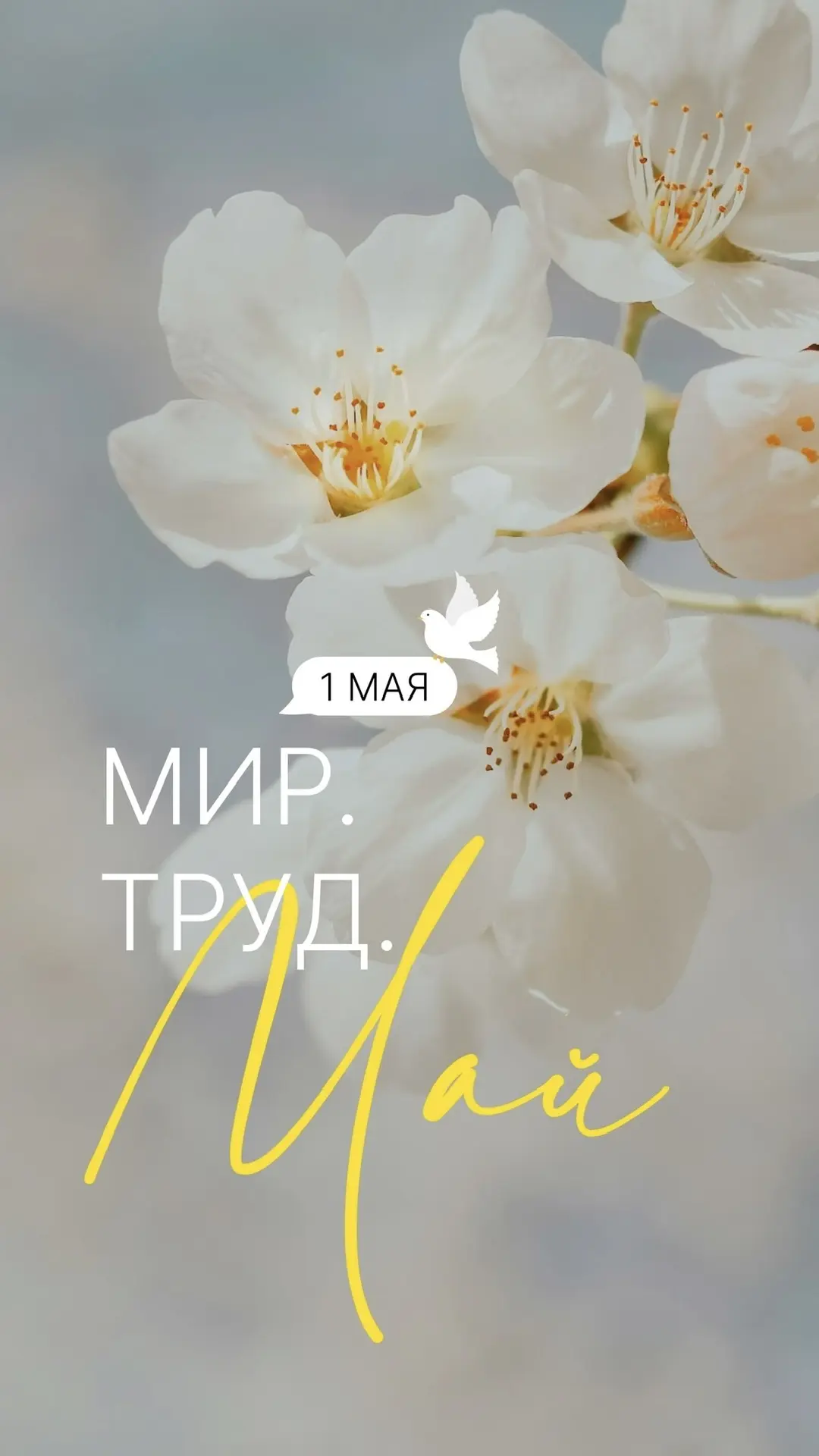 С Первомаем, дорогие мои!