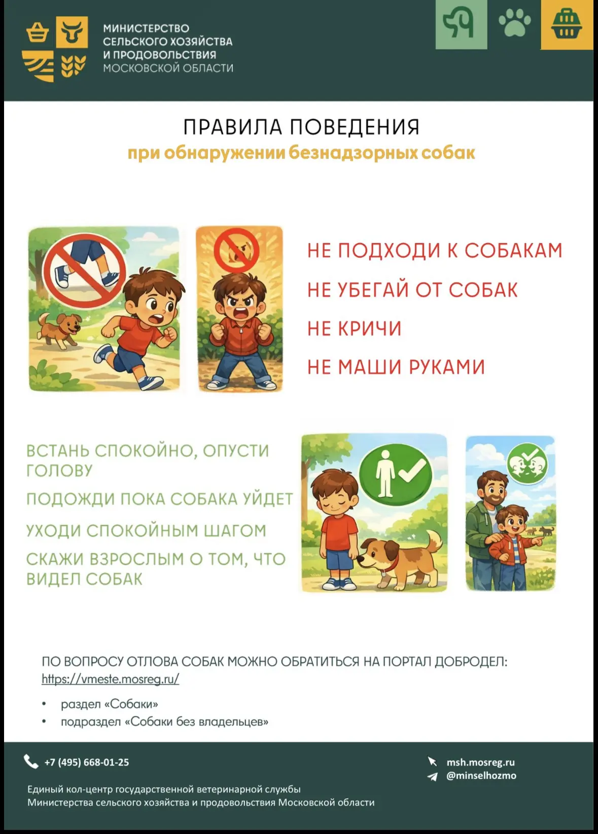 ‼️Безопасность рядом с домом: как вести себя при встрече с безнадзорной собакой🐶

В окрестностях до