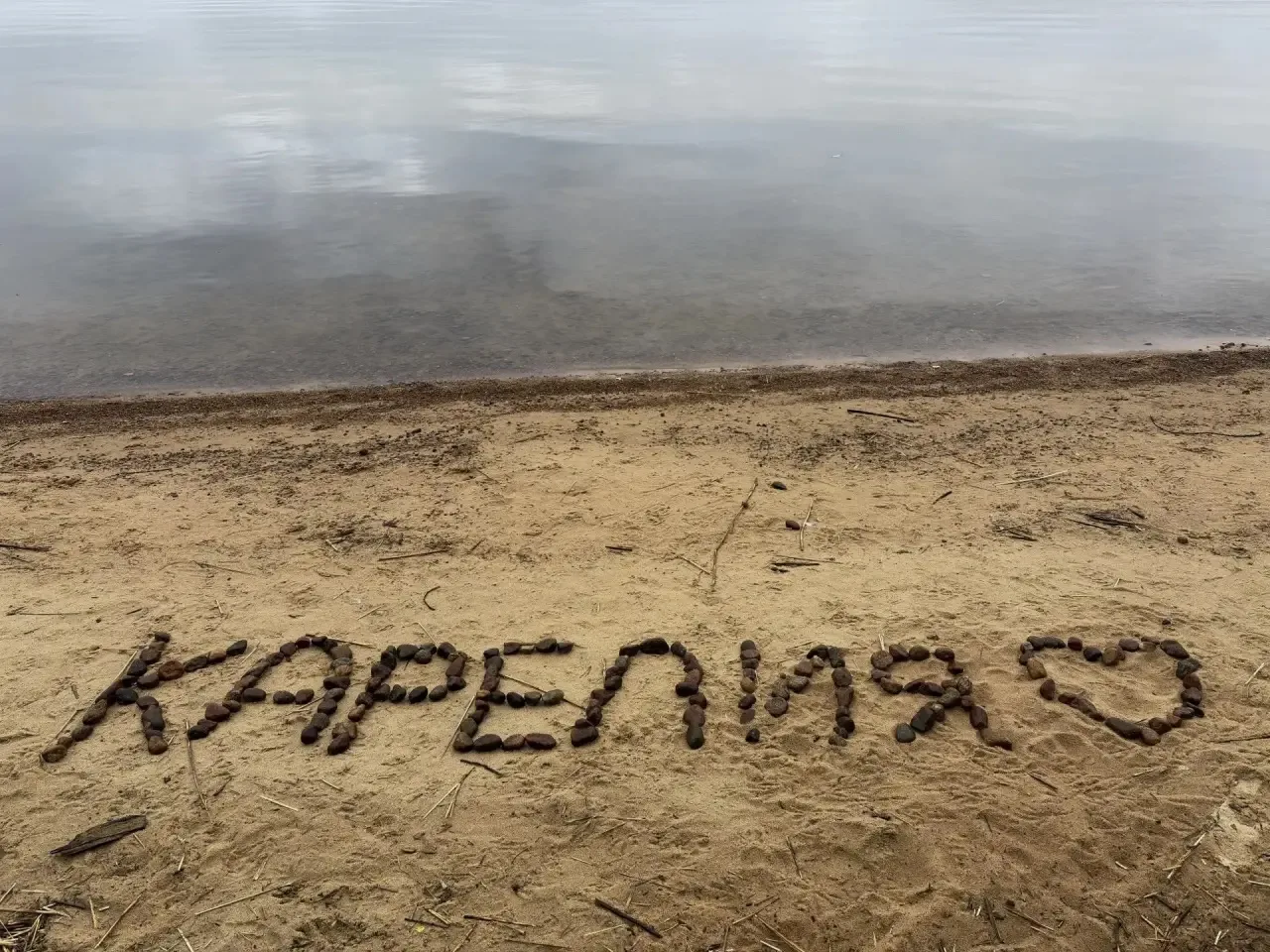 Тема «не мусорим в лесу» и правда уже оскомину набила у многих. Кажется, эти слова звуч...