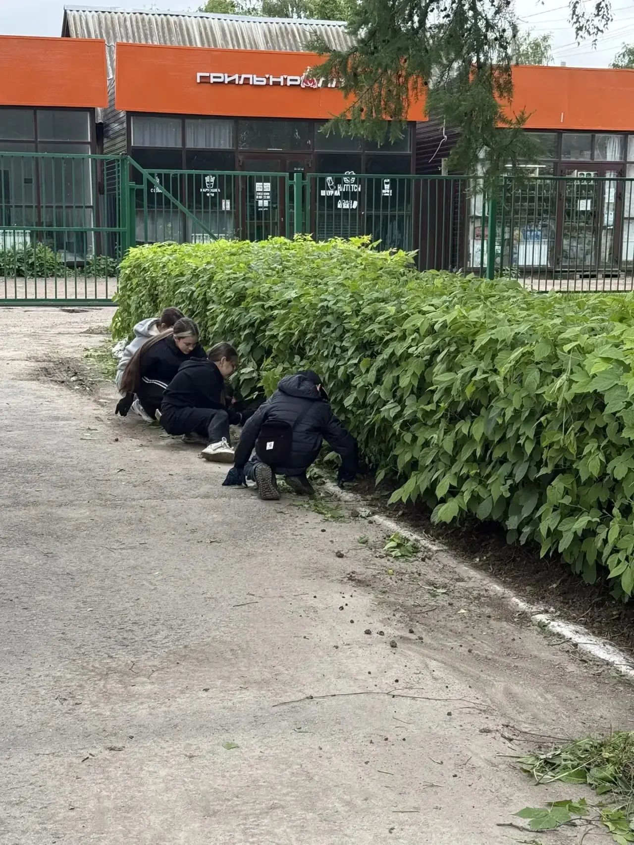 🧹 В течение лета на пришкольном участке обучающиеся нашей школы будут проходить летнюю...
