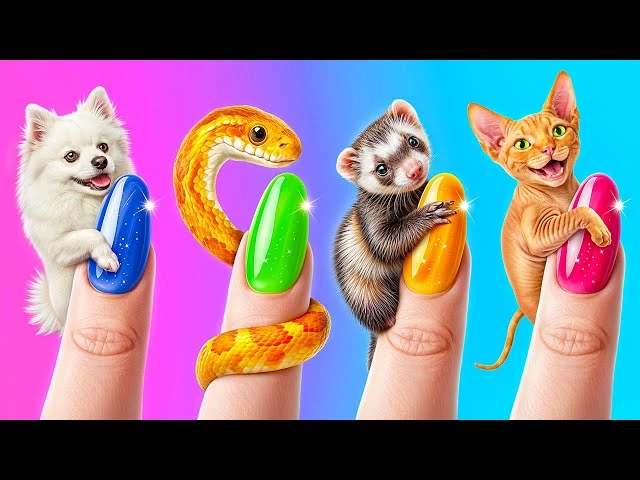 Мы построили домики для четырех животных!