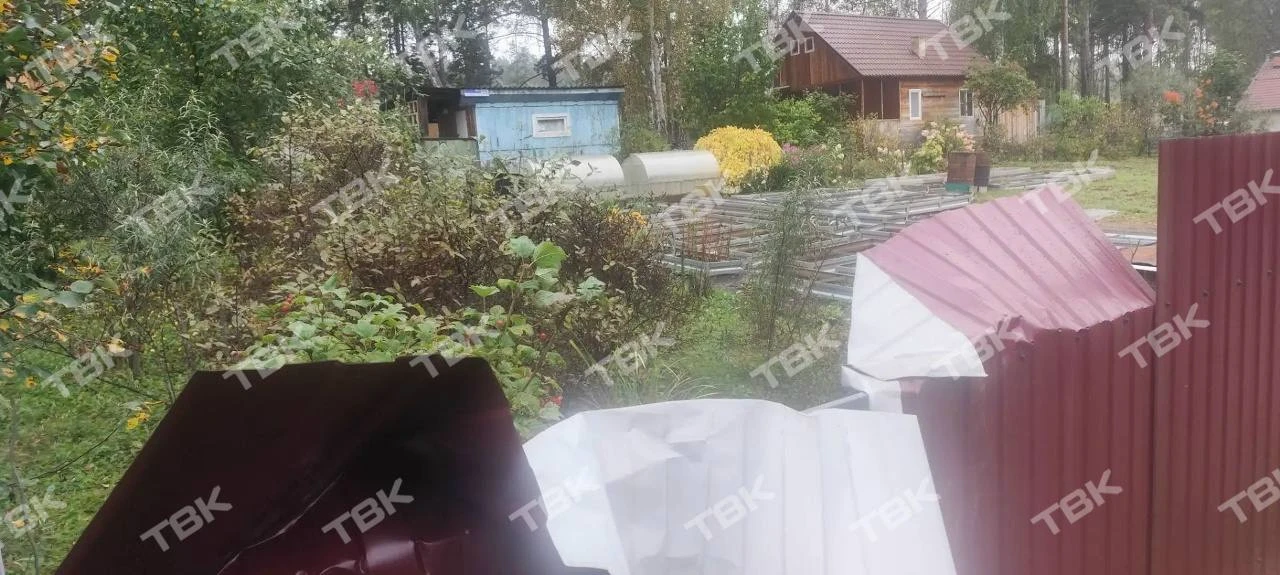 В Красноярском крае медведи начали выходить к людям в садовых товариществах. Хищников з...