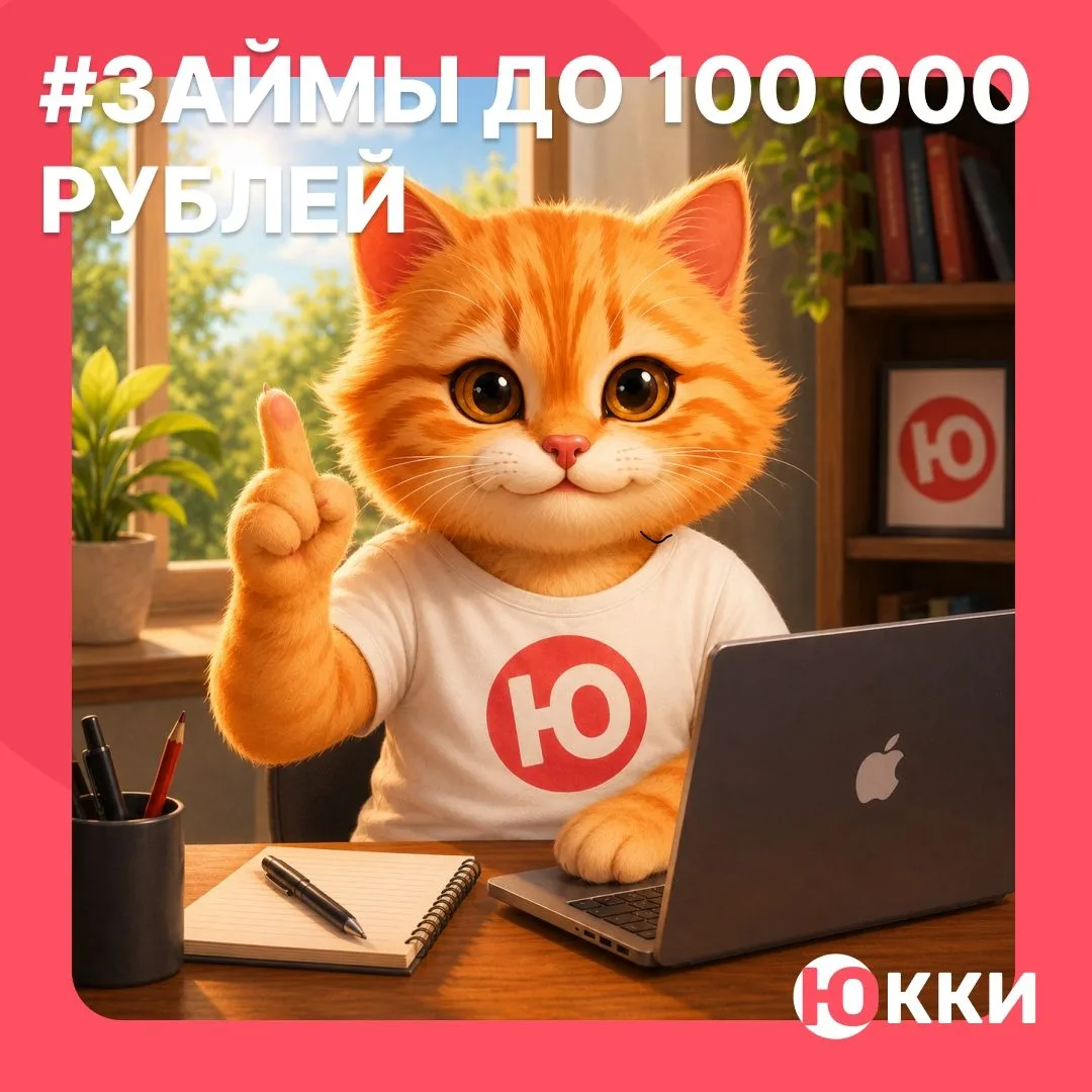 Котик нашего робота Ньюкка напоминает, что мы запустили долгосрочные займы до 100 000 ₽.

🔸Срок — д