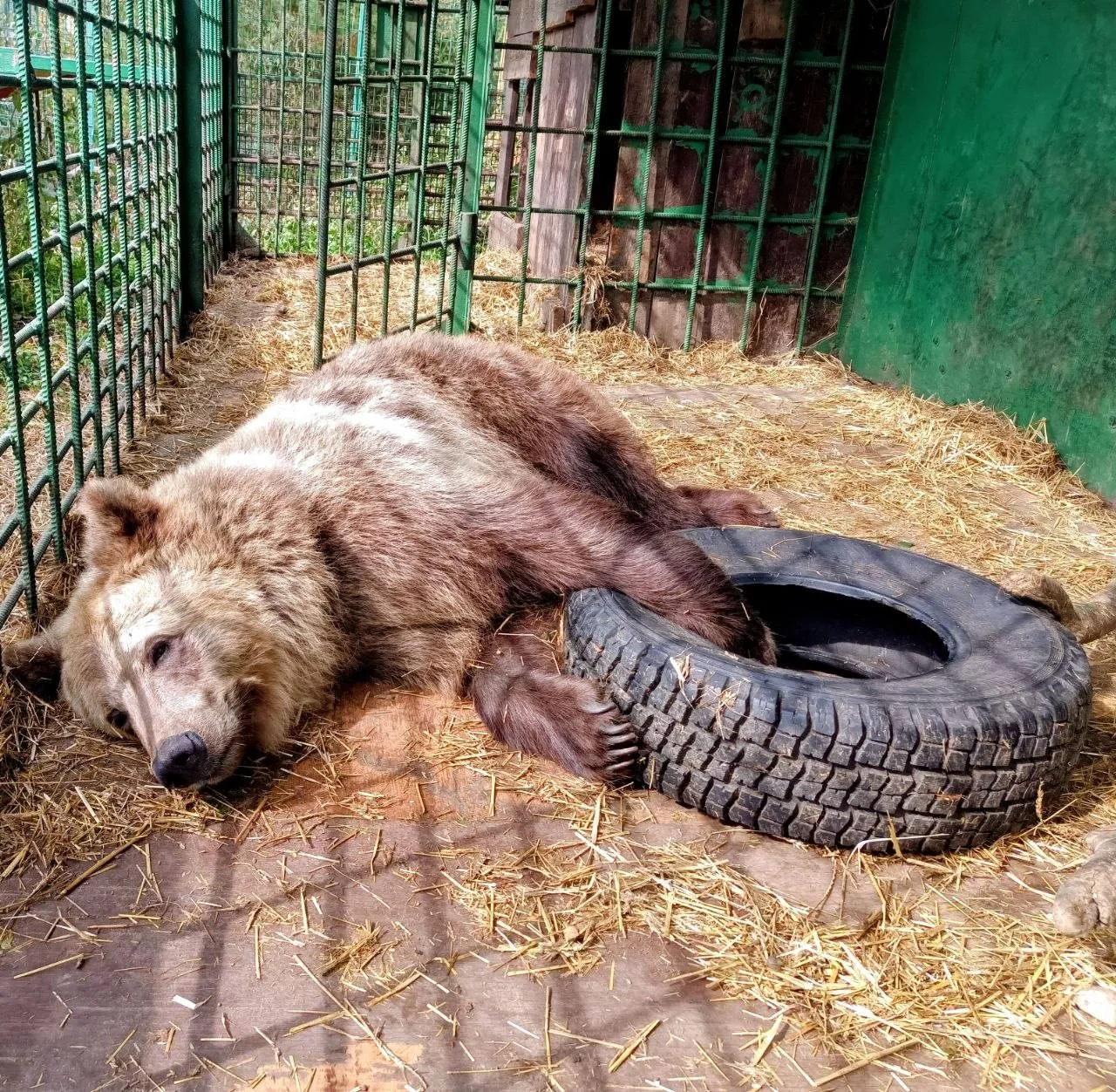 Твое настроение, когда завтра выходные 🗓️