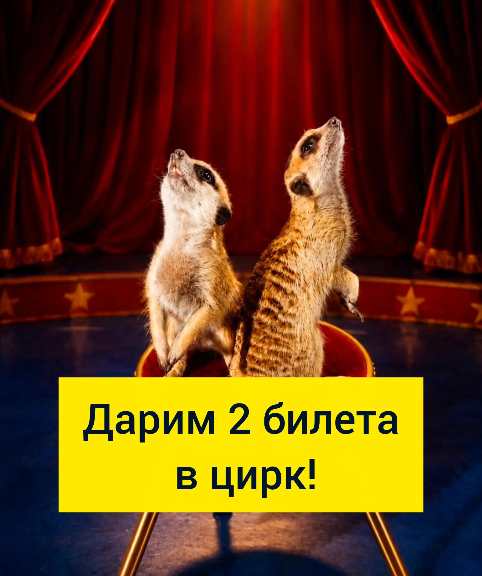 Напоминаем, сегодня в 14.00 розыгрыш. Успей поучаствовать!