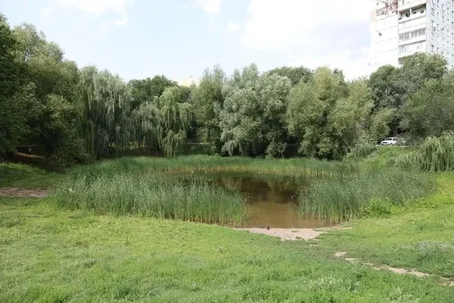 Стало известно, что будет с водоемом в сквере «Дубовый колок» в Самаре

В Самаре собираются восстано