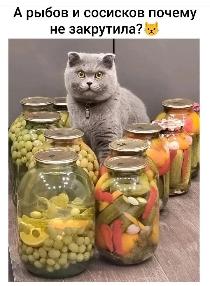 #юмор