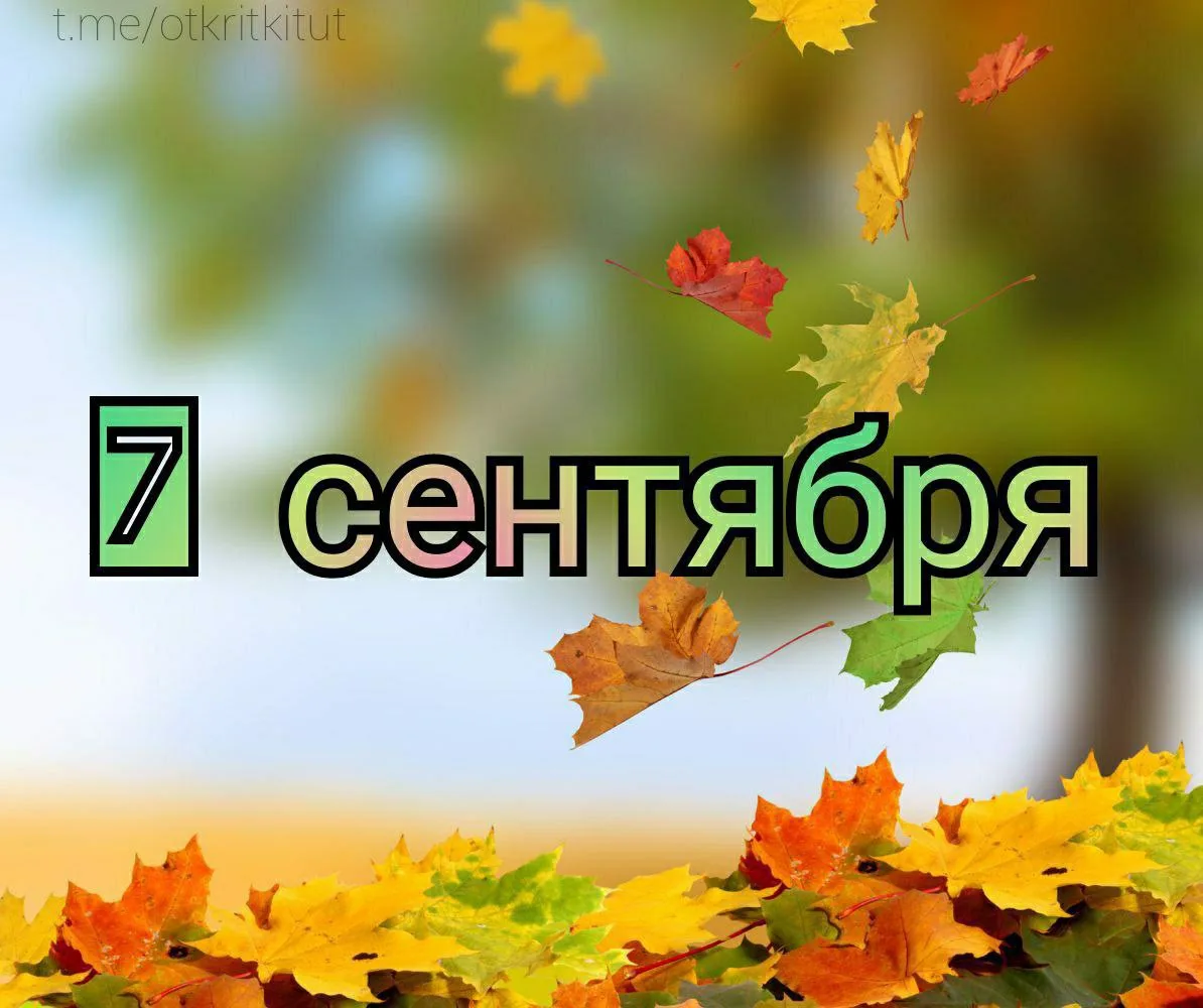 Праздники 7 сентября 🗓️