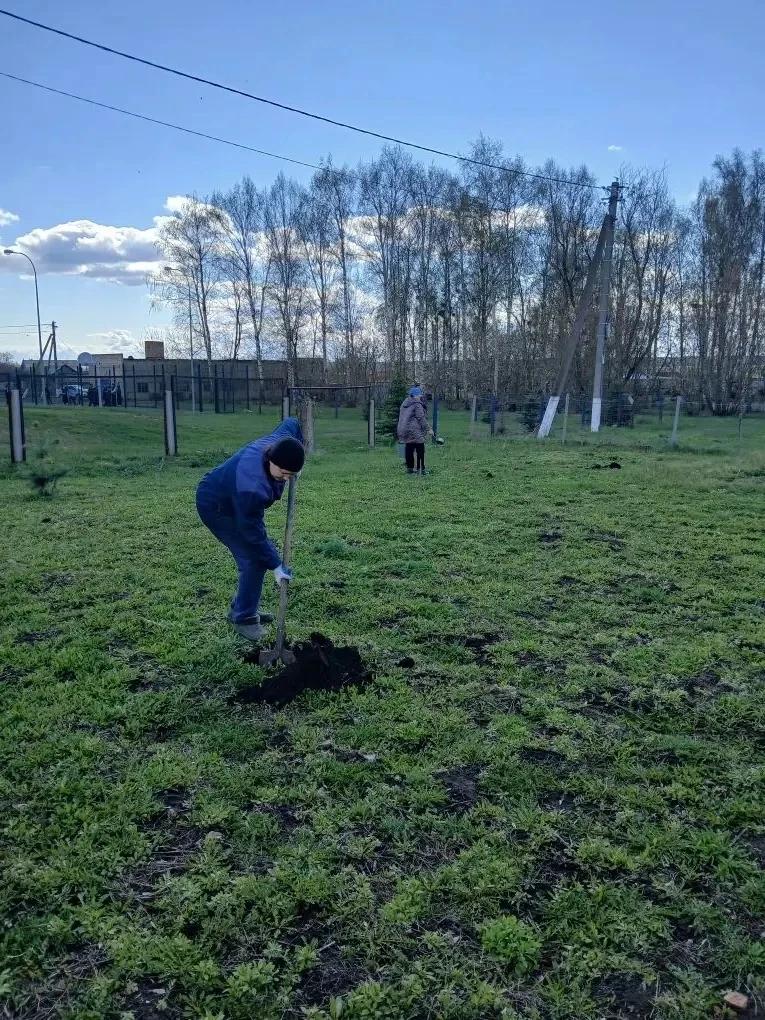 Традиционная акция «Аллея Памяти», приуроченная ко Дню Победы.