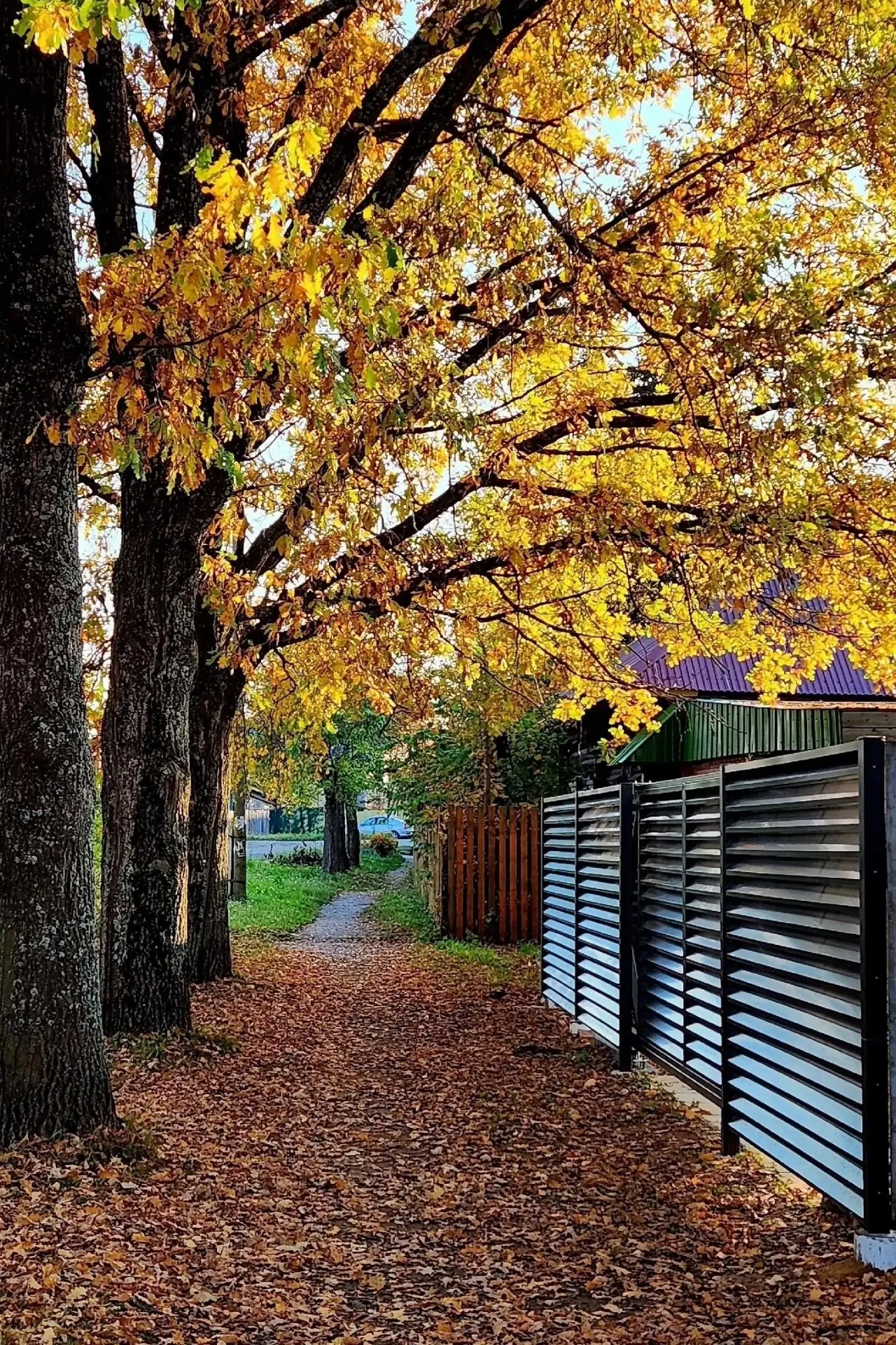 Осень 🍁