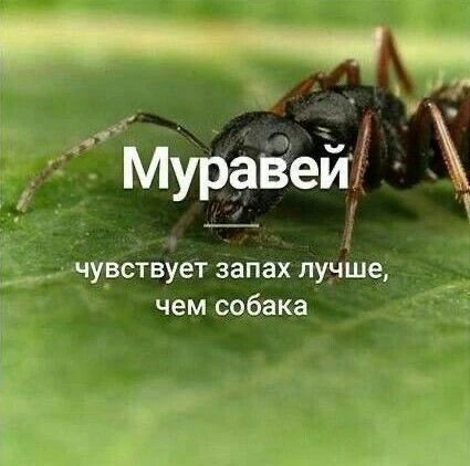 Признавайтесь, знали?