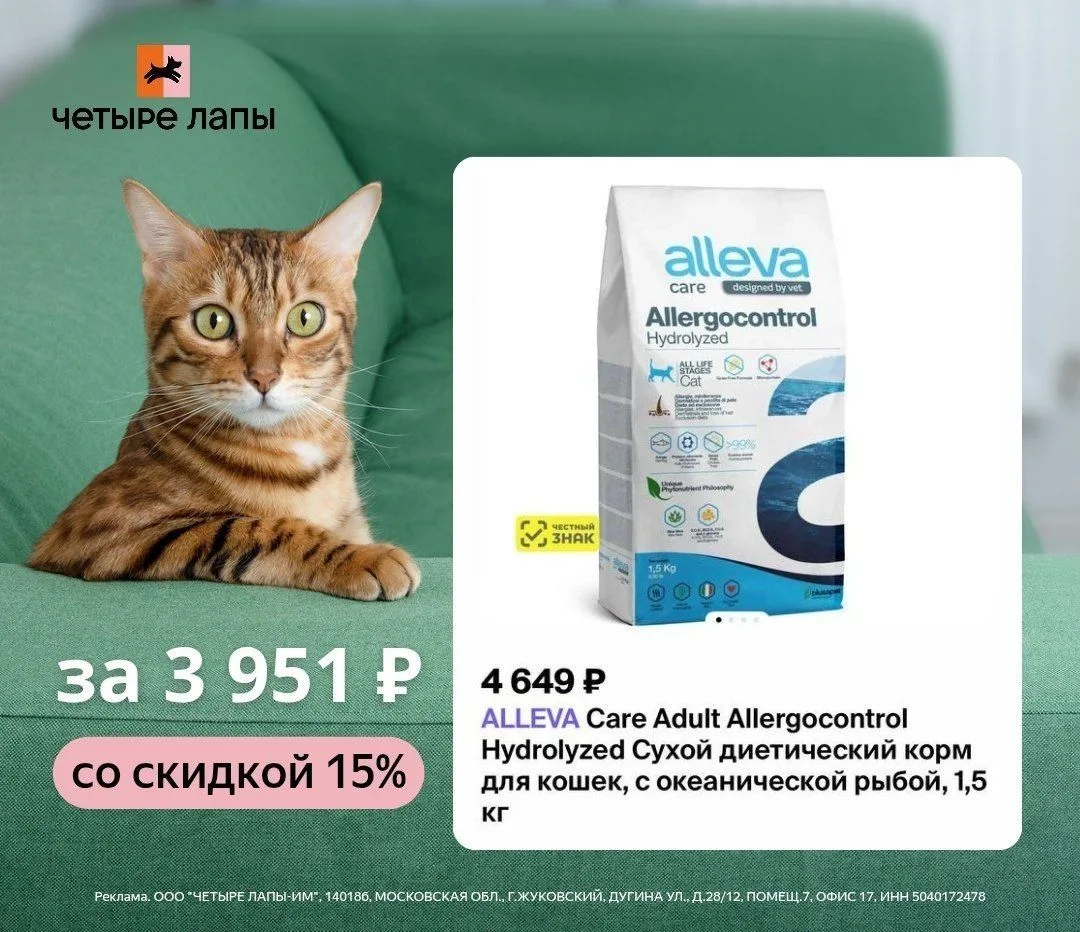 🐾 Пора баловать котика!