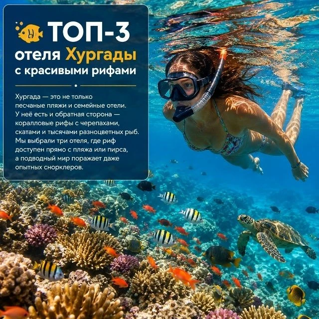 ТОП-3 отеля Хургады с красивыми рифами