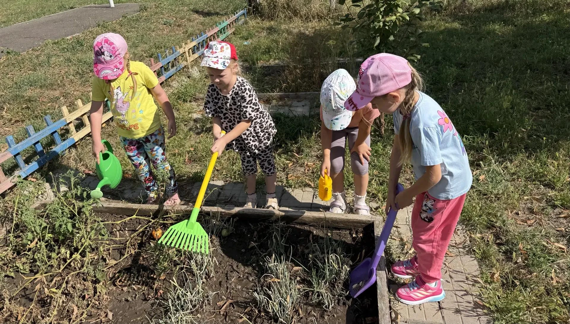 🥕🧺 Маленькие огородники за работой!