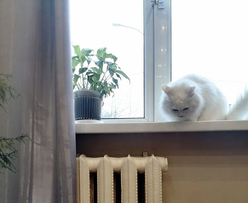 🧣В октябре в Балашихе начнут начислять плату за отопление. Батареи включают, когда сре...