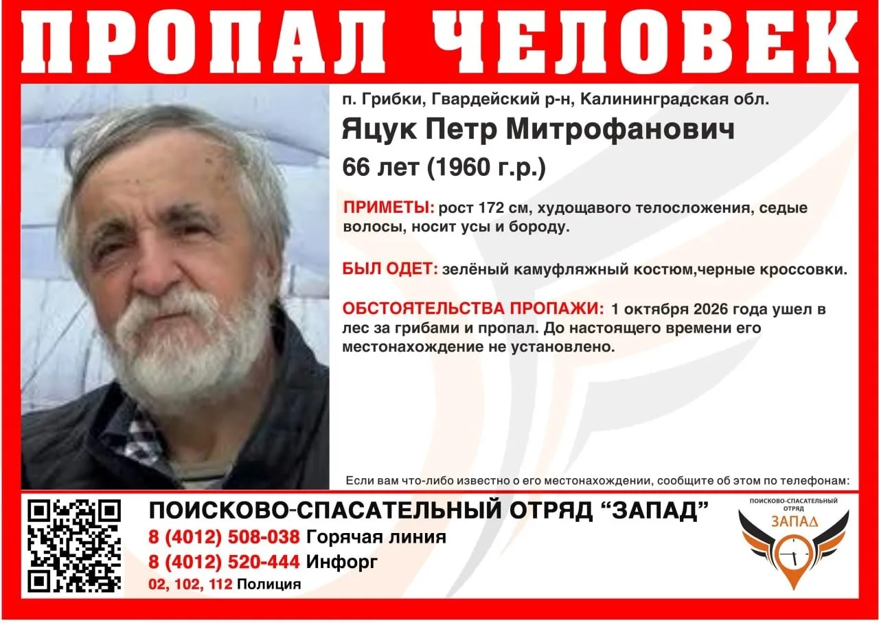 ЯНТАРНЫЙ ПОИСК