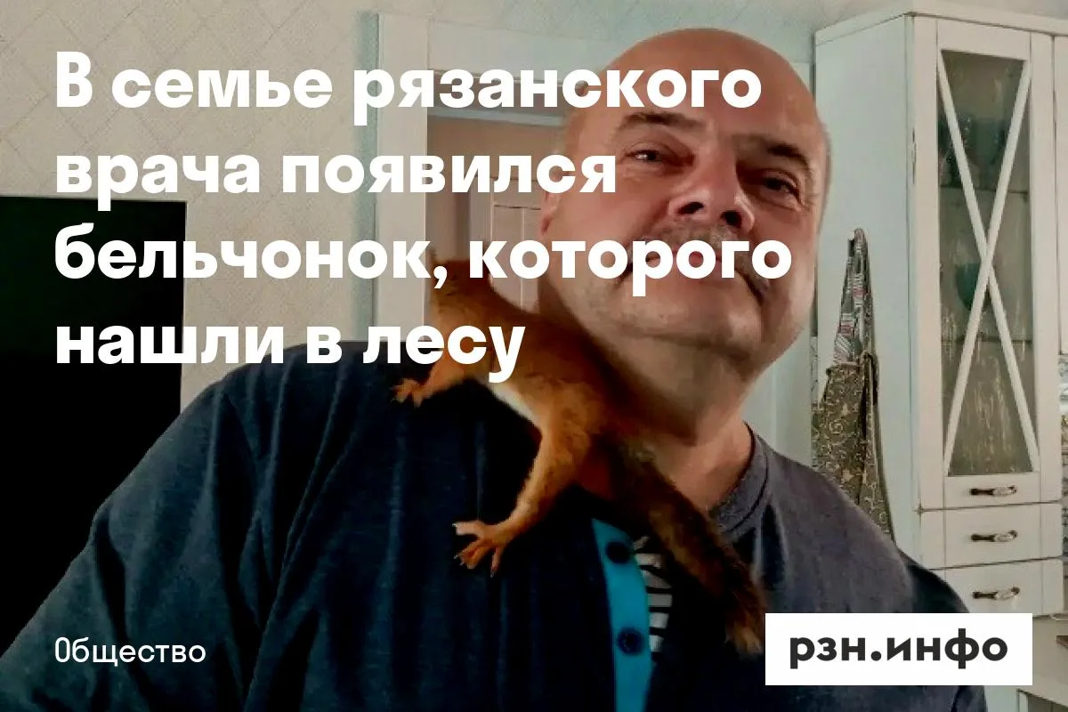 В семье рязанского врача появился бельчонок, которого нашли в лесу