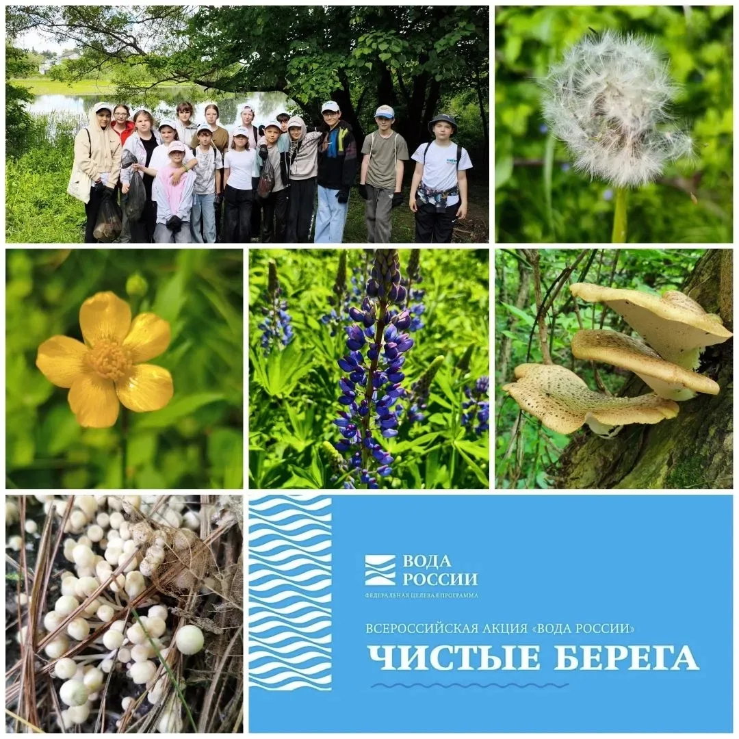 Чистая вода начинается с нас! 💧