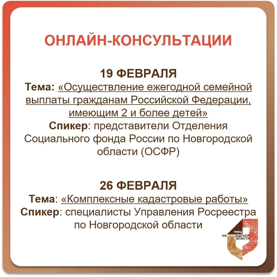 Анонс онлайн-консультаций в МФЦ: февраль 2026