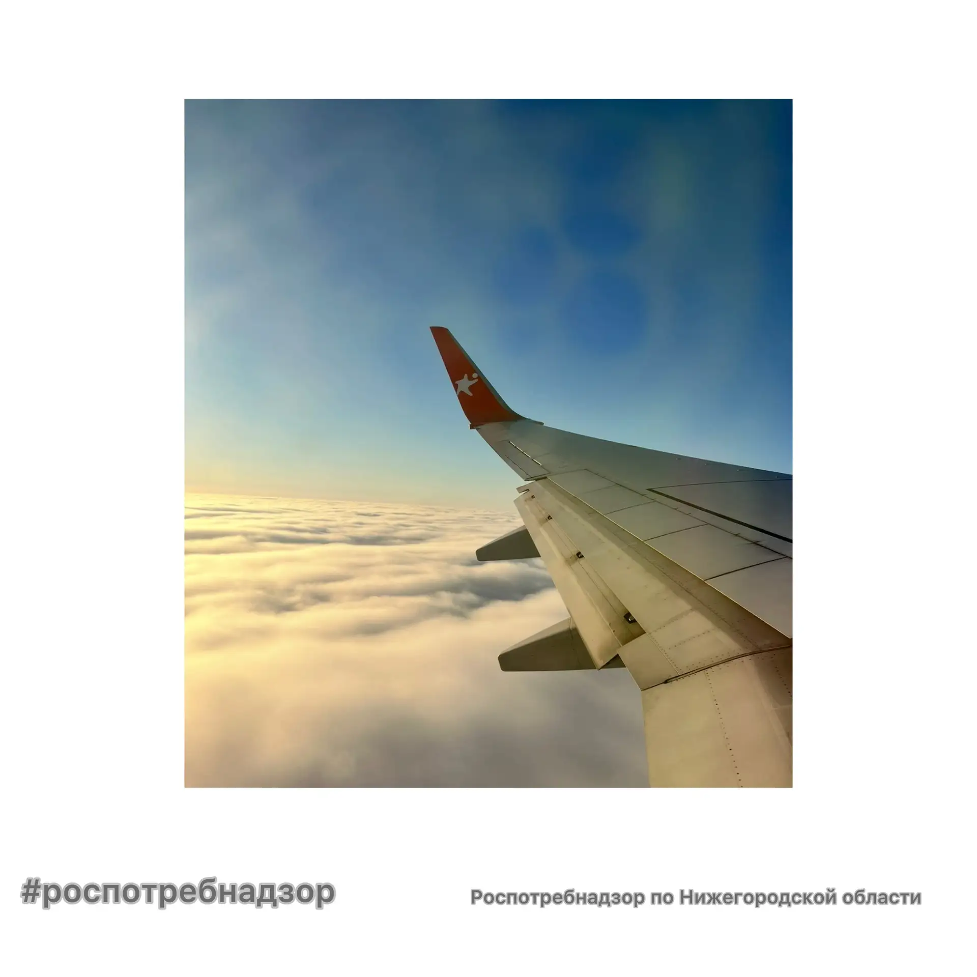 ⚡️ Роспотребнадзор информирует о мерах профилактики инфекционных и паразитарных заболеваний во время