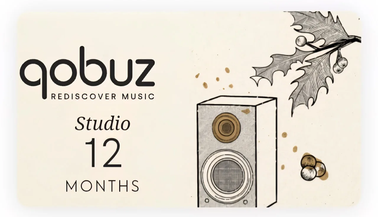 Qobuz hi res studio 6800р