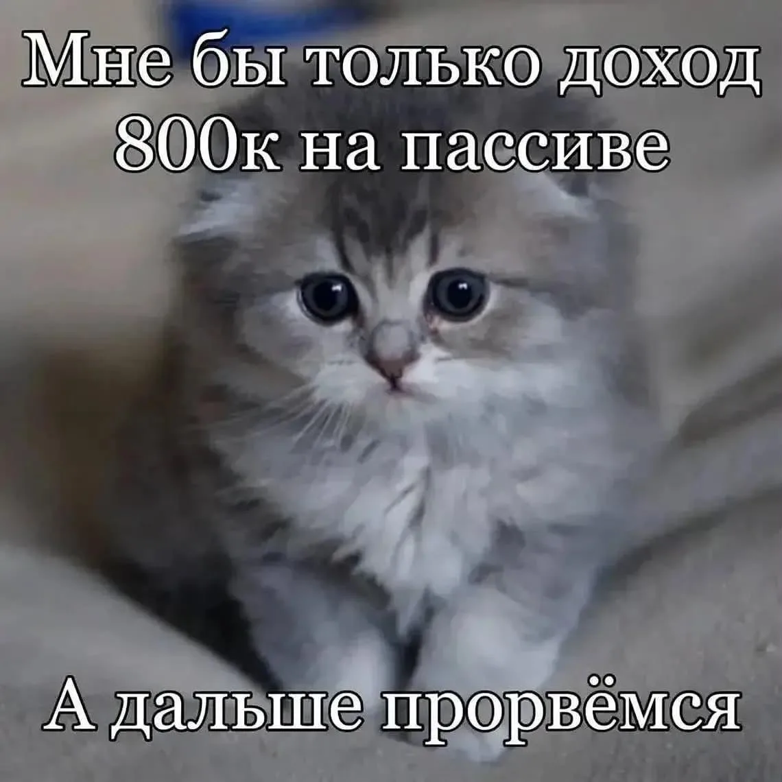 Разве я многого прошу?
