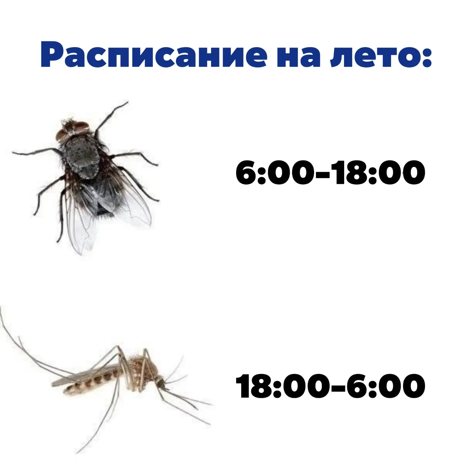 Вечерний чат в эфире 🎙️

Тема: «Минусы лета»👇🏻

— Пиши ответ ВКонтакте 
— или присылай голосовые 