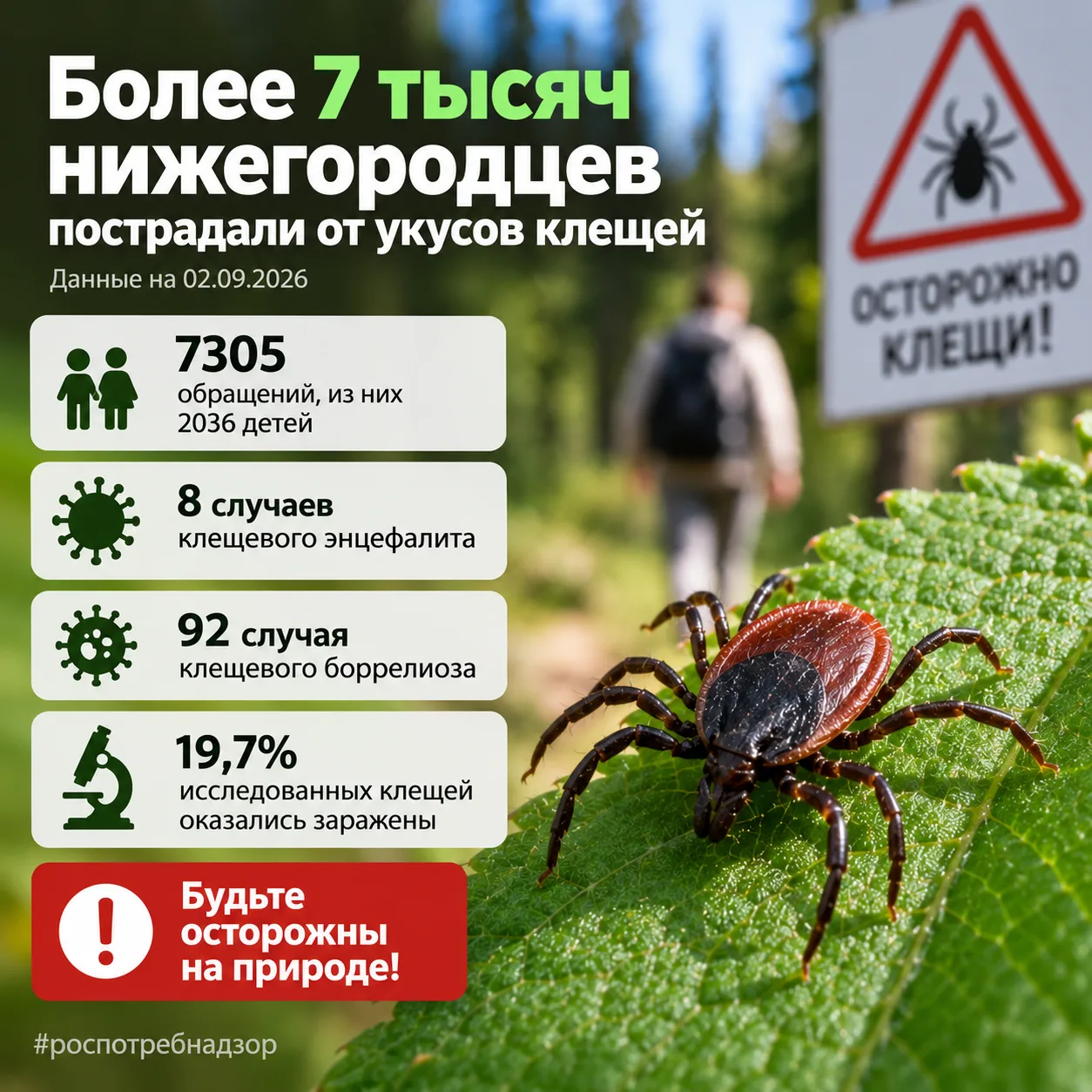 Более 7 тысяч нижегородцев пострадали от укусов клещей