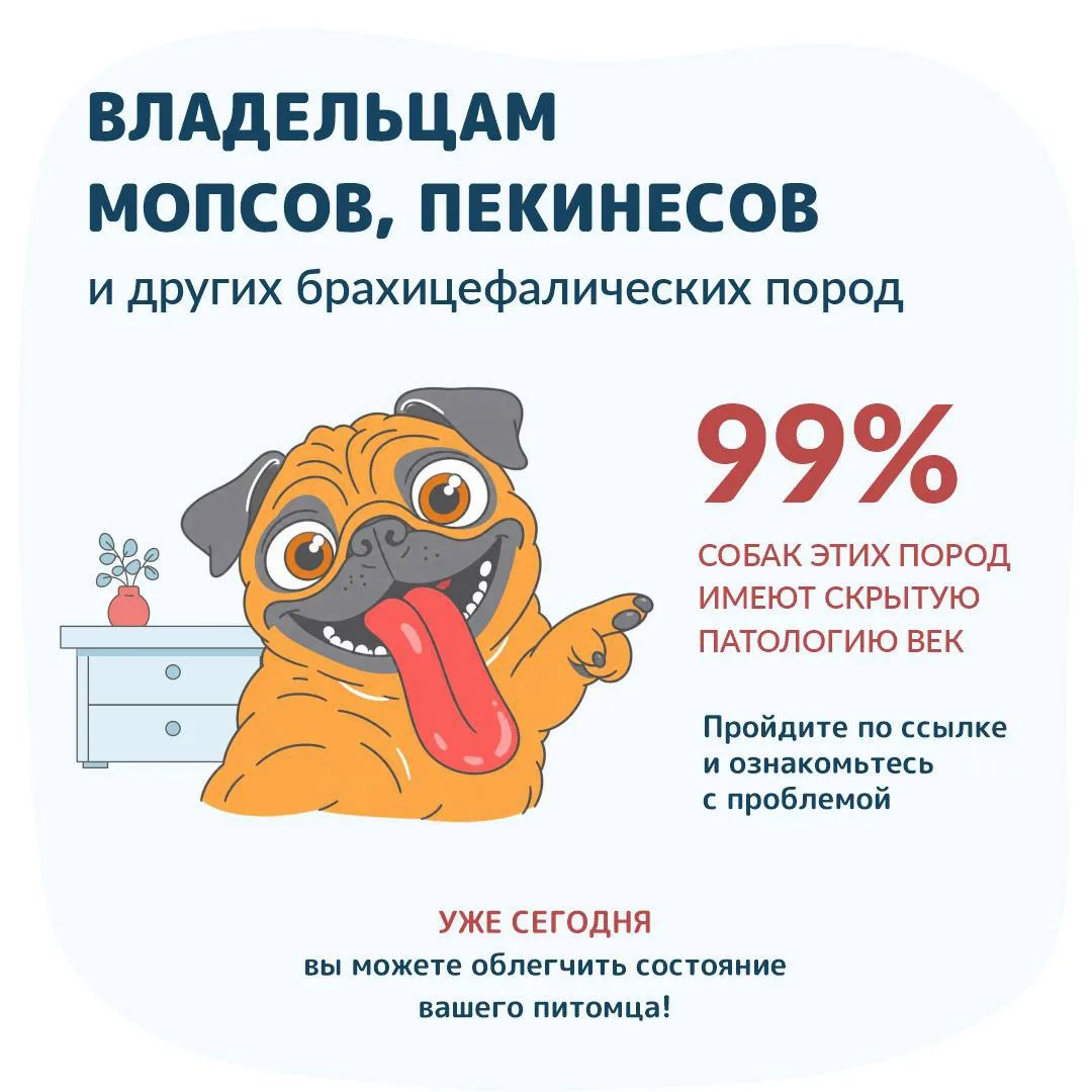 Вниманию ВСЕХ владельцев мопсов, а также владельцев собак других брахицефалических пород!