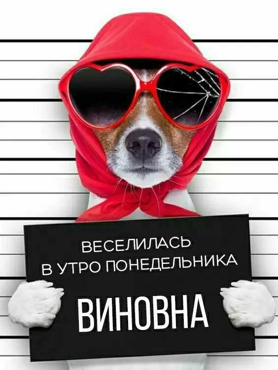 Подписаться на Привет Пипл!