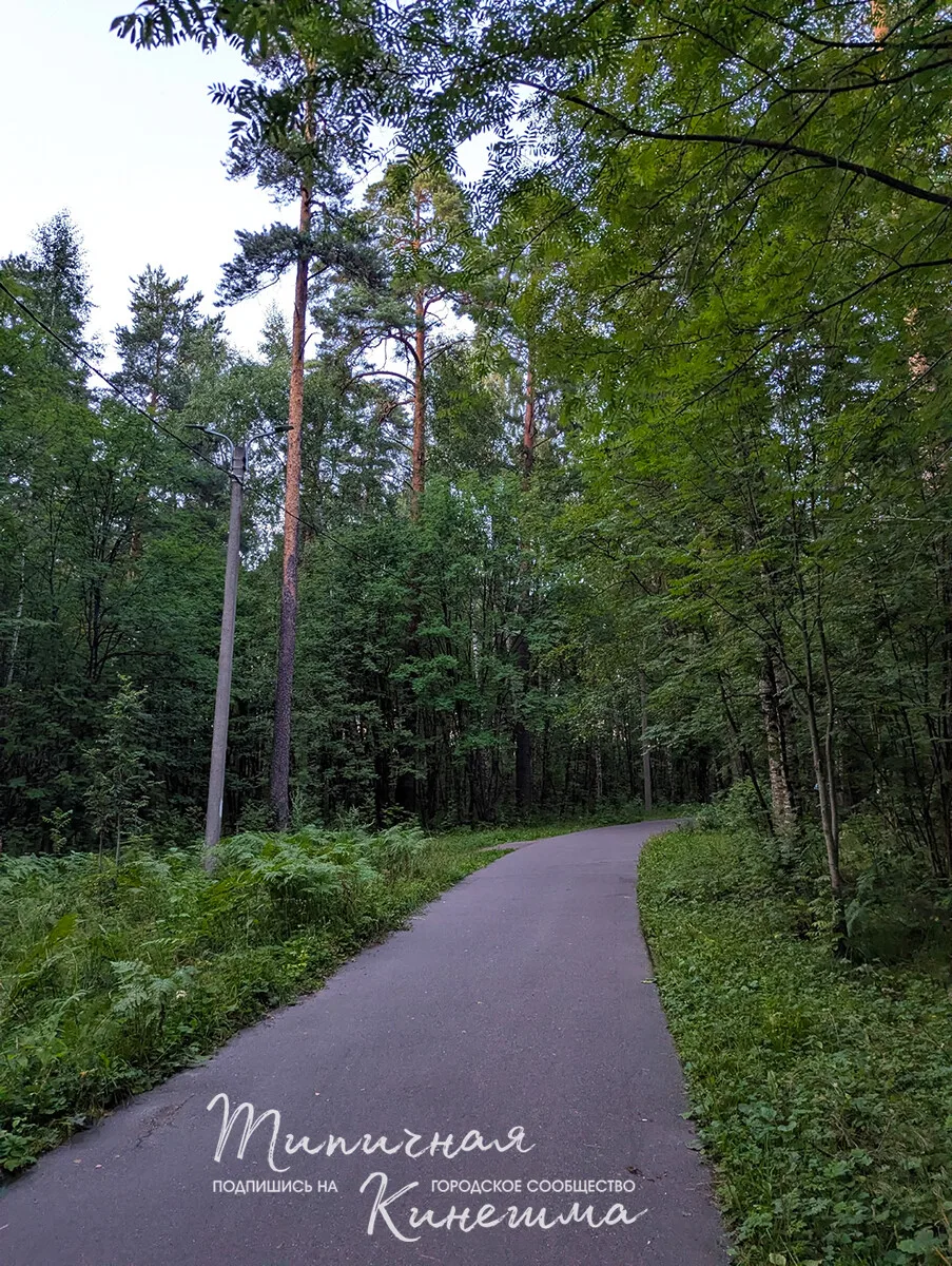 Кинешма ❤