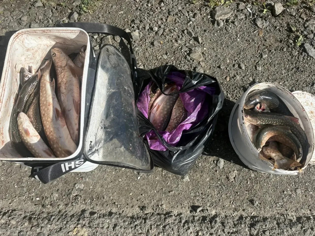 Поронайский район. Осенняя кунджа
