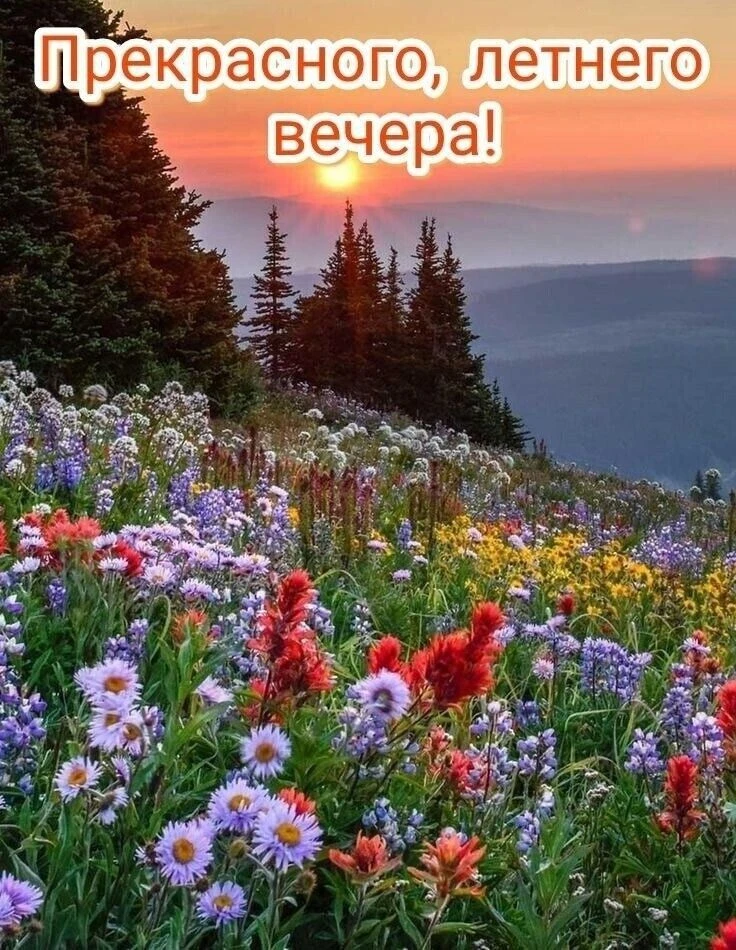 🥰 Оставляйте реакции, если понравилась открытка и делитесь с близкими ❤

Подпишитесь и Вы не сможет