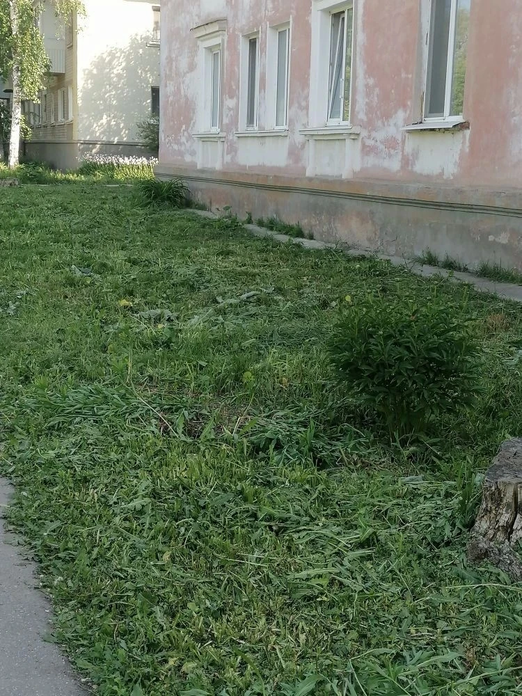 Управляющая компания производит покос травы на придомовых территориях.