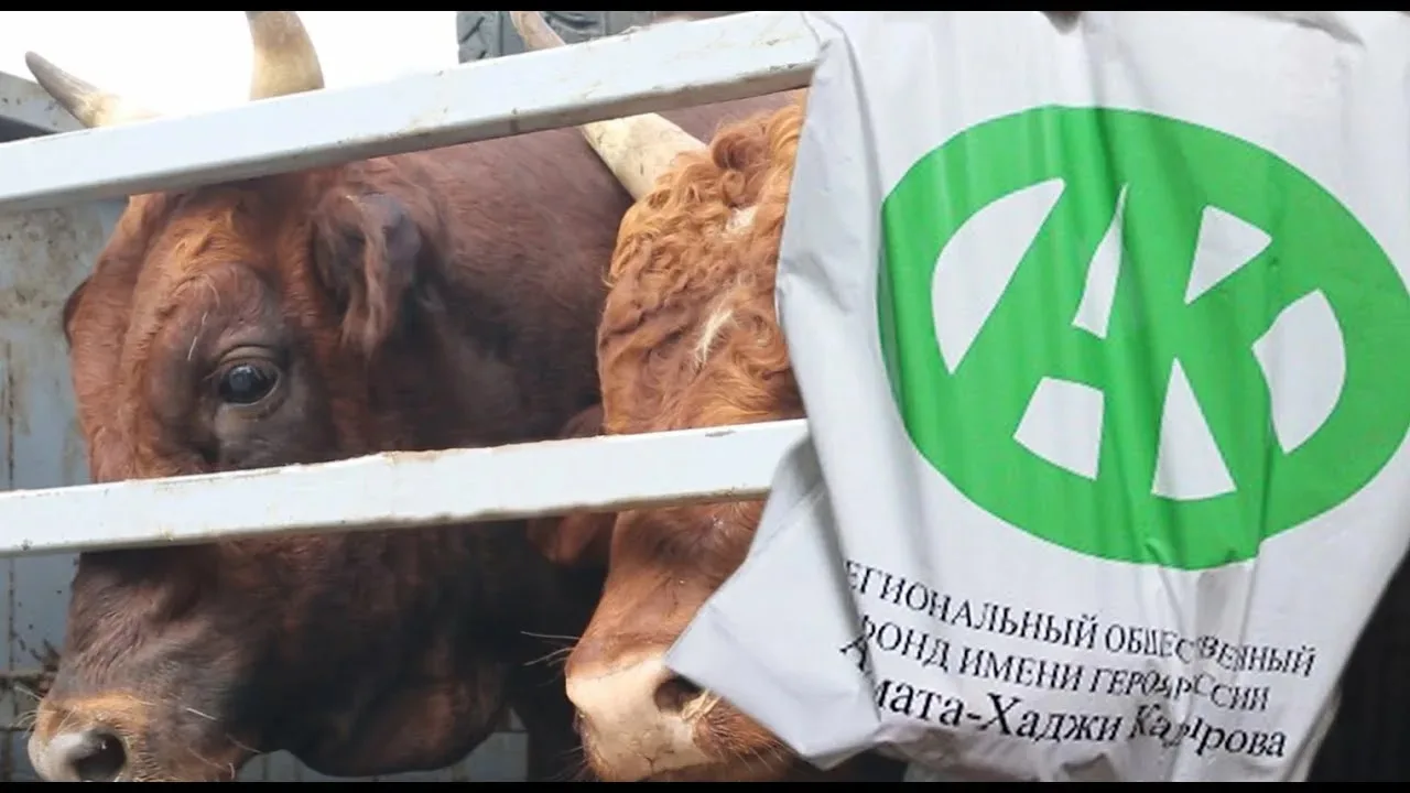 В ГБУ «Психиатрическая больница №1» прошла благотворительная акция от Регионального общ...