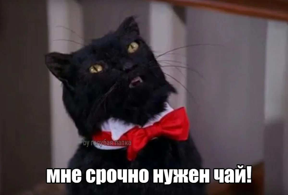 Это я сейчас еду домой за чашкой чая😂